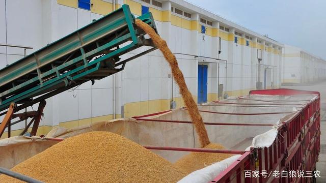 餐桌之前,粮食在收获、储运、加工环节中,损失了约7000万吨