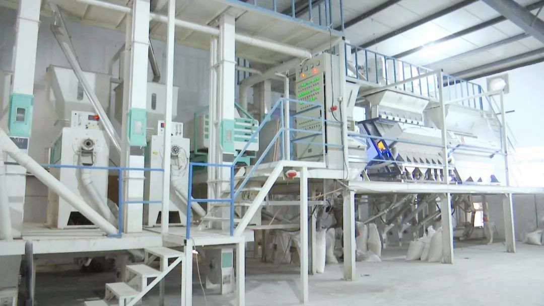 黄陂大米“碰网触电”，拓展销售渠道驱动粮食加工升级