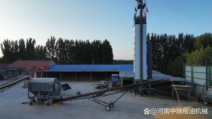 粮食加工产业链中筛选、烘干与存储环节对粮食品质及经济效益的关键作用