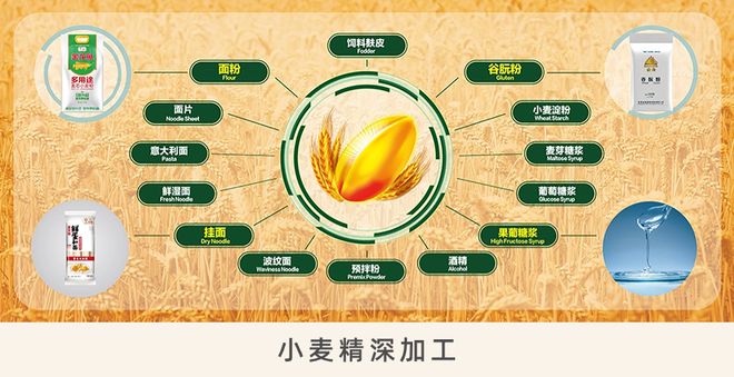 延链成群,打造协同发展的新产业 | 粮油"新"图景②