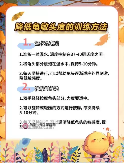 怎么提高龟灵敏度的方法：提升龟反应速度的实用技巧图1