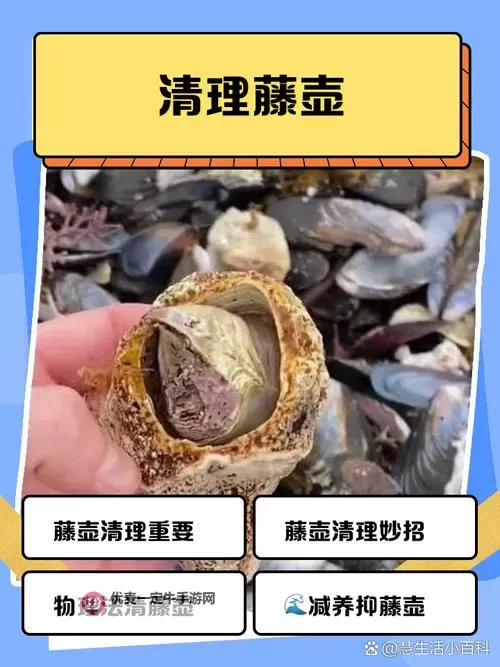 《魔法季节沉睡的大地》藤壶位置位置图解 藤壶在哪图2