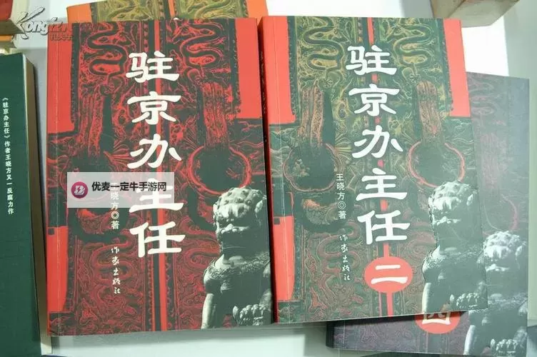驻京办主任三：聚焦首都事务的关键人物图1