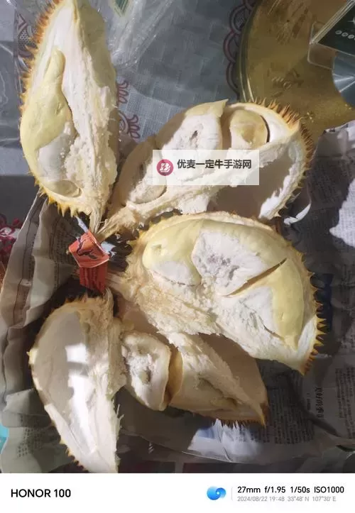 榴莲看片：探索热带水果与影视艺术的奇妙融合图1