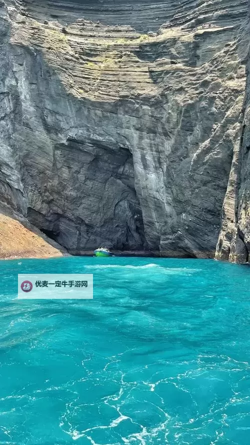 最新解析：天天射草一草最全攻略与最新技巧图1