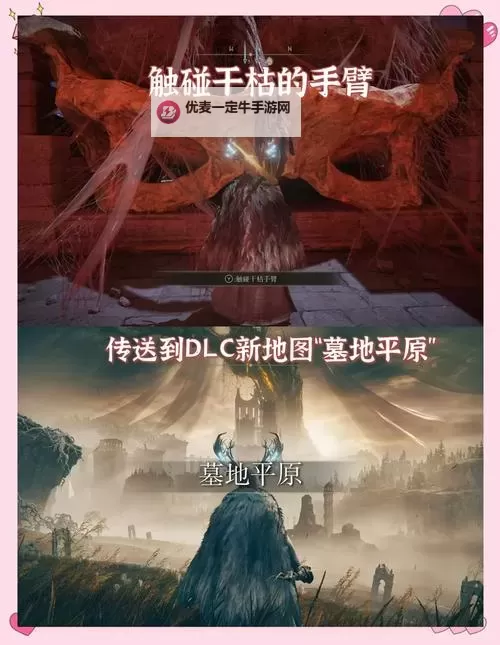 《艾尔登法环》黄金树之影DLC拉纳香油瓶获取方法 拉纳香油瓶怎么获得图1