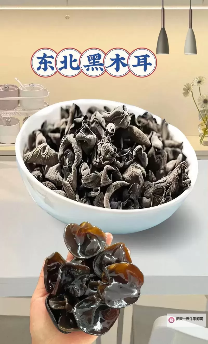 探索中国黑木耳网：品质保障与行业前景分析图1