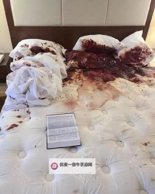 自杀二十天：一道令人深思的生命之谜图1