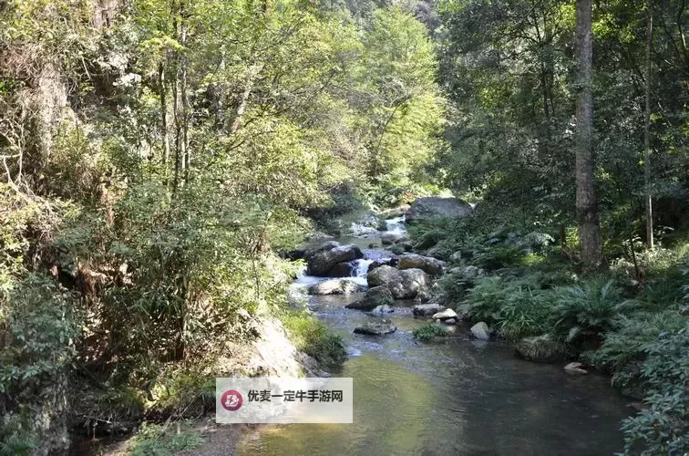 幽谷花径内的阻力突然减小：揭示自然中的神秘变化图1
