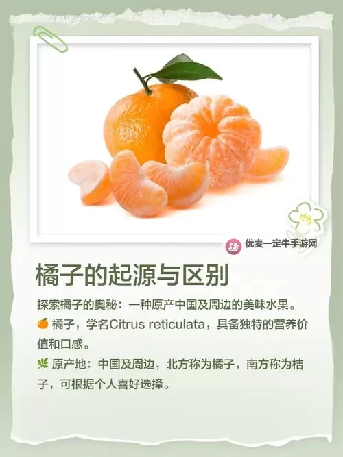 探索刺激与趣味：橘子成人网站带来的全新体验图1