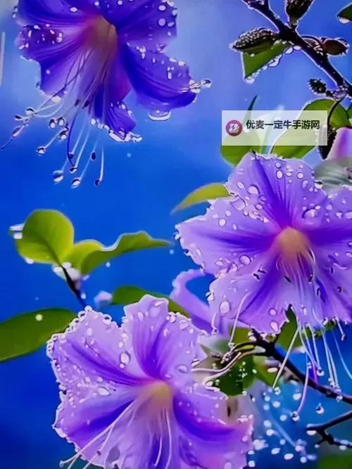 探索自由成熟性：西元未来的视频全景解析图1