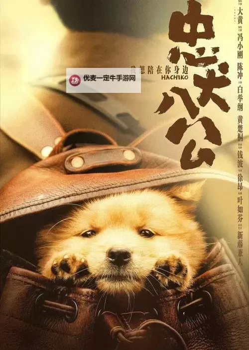 感人至深：《忠犬八公国语版》温暖人心的真实故事图1