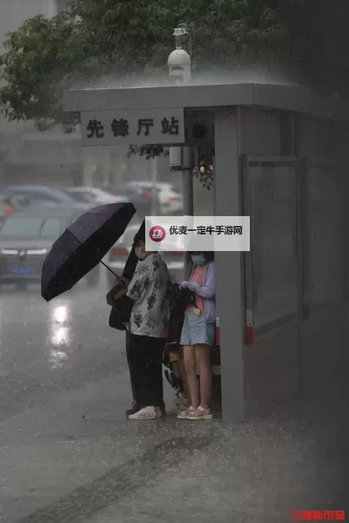 湿透JO避雨在线观看：雨中瞬间的精彩瞬间分享图1