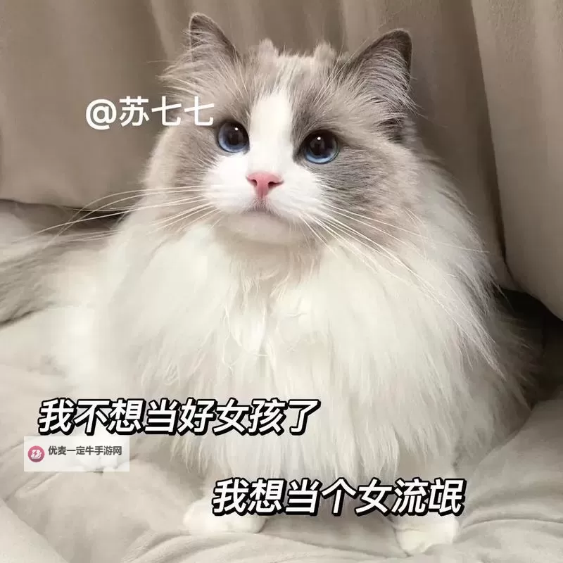 有个流氓爱上我：都市爱情中的意外邂逅图1
