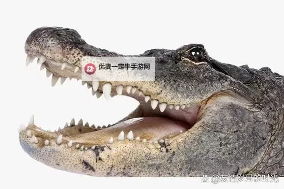 图鉴电报丨《逆境重生》动物篇-鳄鱼图1