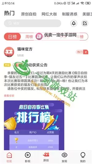 猫咪社区免费看片：畅享高清内容的最佳选择图1