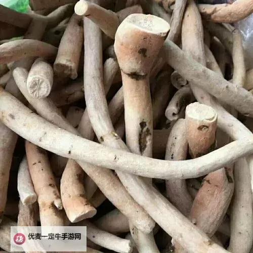 国产一起草：探索本土文化新潮流图1