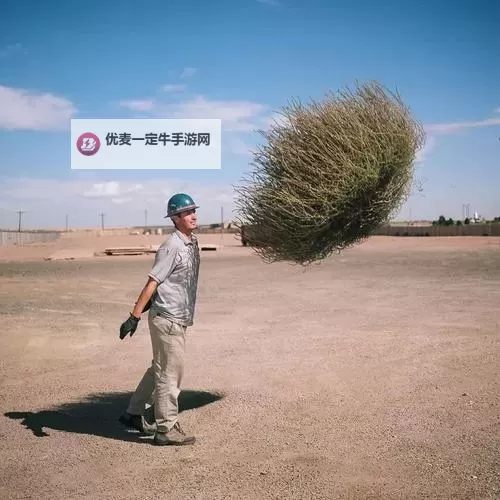 探索人人人人人人人草的奇异景象与背后意义图1