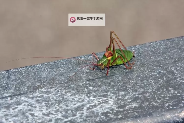 《辐射4》镀金蚱蜢获取方法 镀金蚱蜢在哪图2