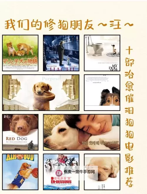 《醒来发现狗狗在上我旁边的电影：一场意外的共眠奇遇》图1