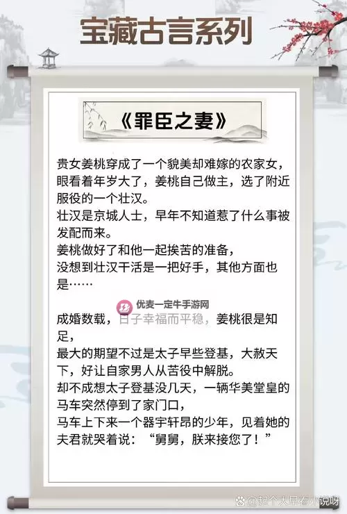 张大宝与儿媳苏媚的小说：错综情网中的爱与矛盾图1