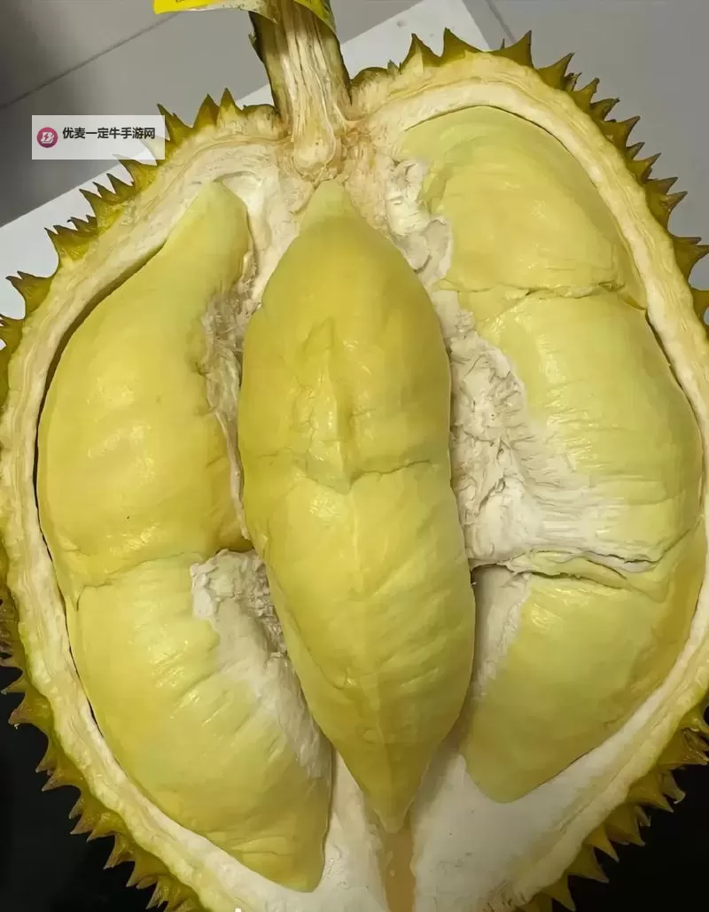 精彩推荐：榴莲视频免费观看在线，轻松享受热带水果的绝佳体验图1