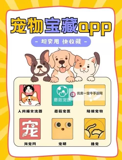 有没有天天萌宠双开软件推荐 深度解答如何双开天天萌宠图1
