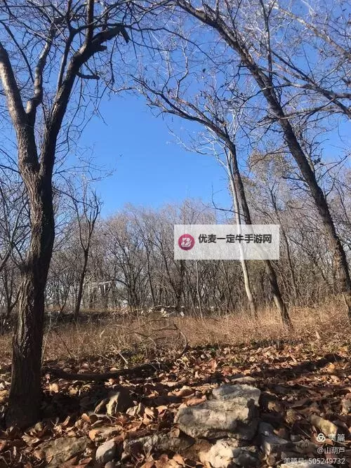 梦想仙侠双开软件推荐 全程免费福利来袭图1