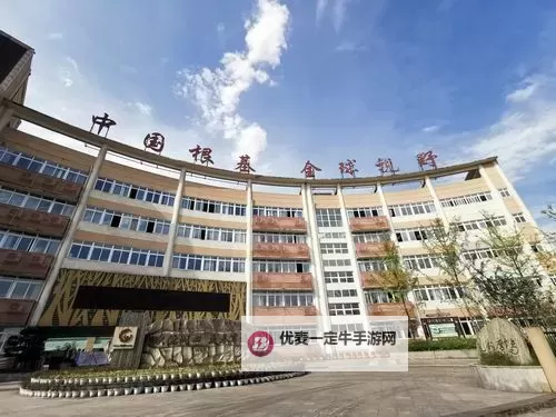 欧洲亚洲一中文字幕：跨洲文化交流的精彩展现图1
