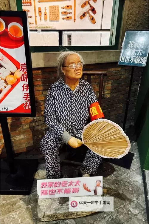 中国老太太WBBHD：温情故事彰显岁月的智慧图1