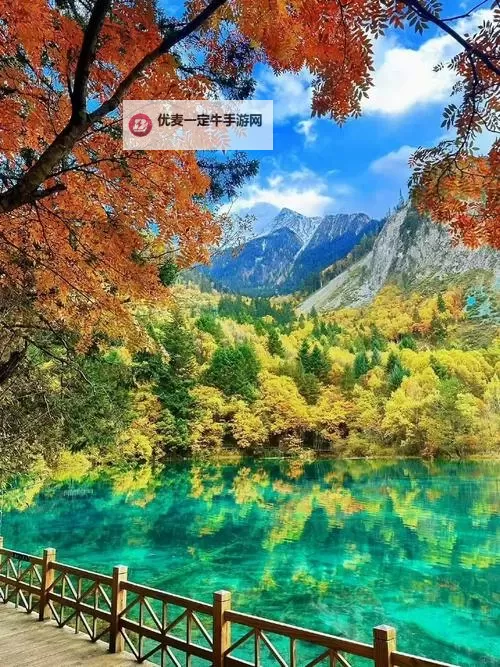 租客H1VL1的入住指南与注意事项图2