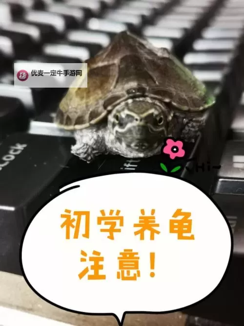 怎么降低龟灵敏度的方法详解与实用技巧图2