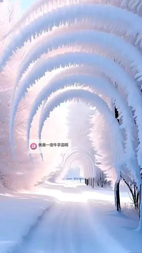 租客H1VL1的入住指南与注意事项图1