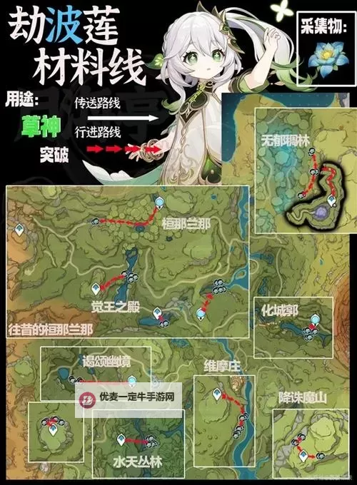 《原神》劫波莲位置一览 劫波莲采集路线图1