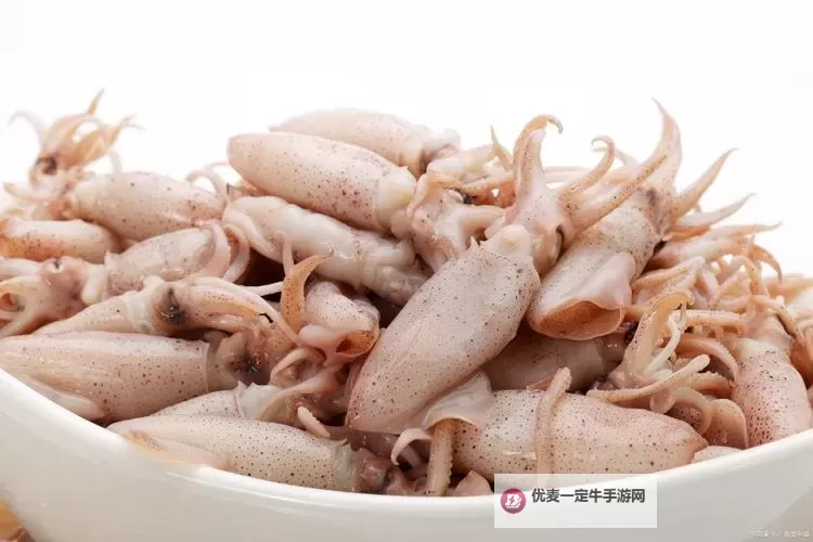 探索美味新体验：鱿鱼直接进入烹饪的技巧与秘诀图1