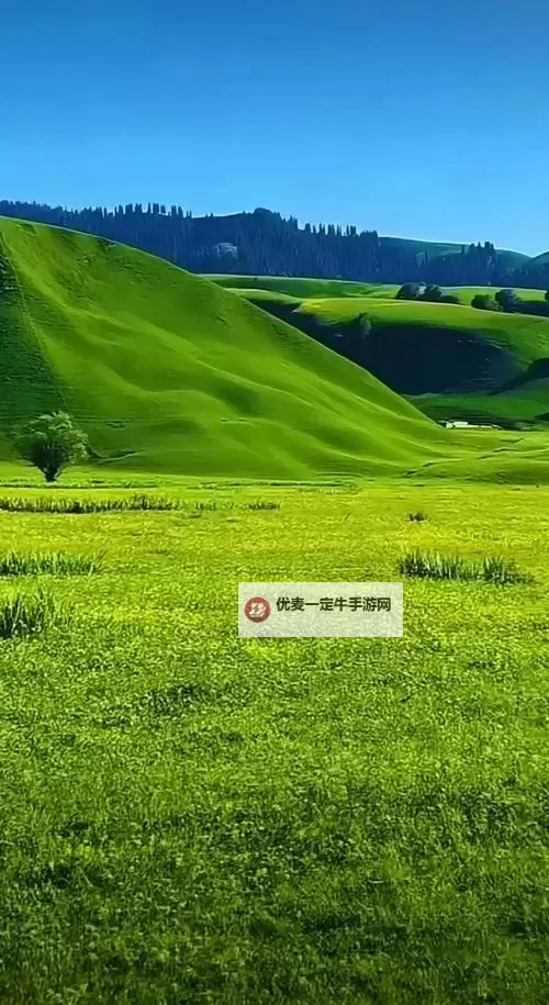 探索自然奇迹：久久青青草原的唯美风光与生态魅力图1