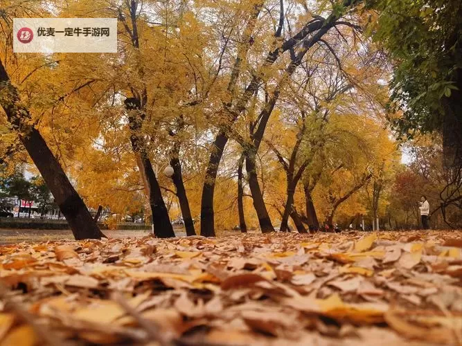 《最美情侣2019中文版：感人至深的爱情故事全新呈现》图1