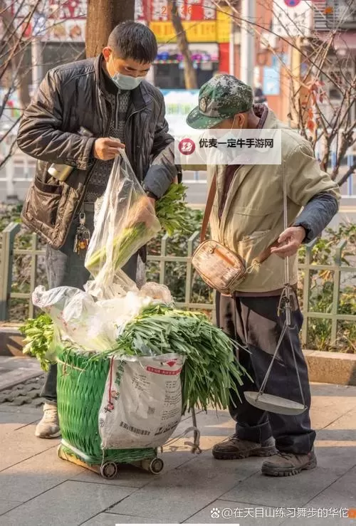 逆境中的坚持：最后一百天卖菜的感人故事图2