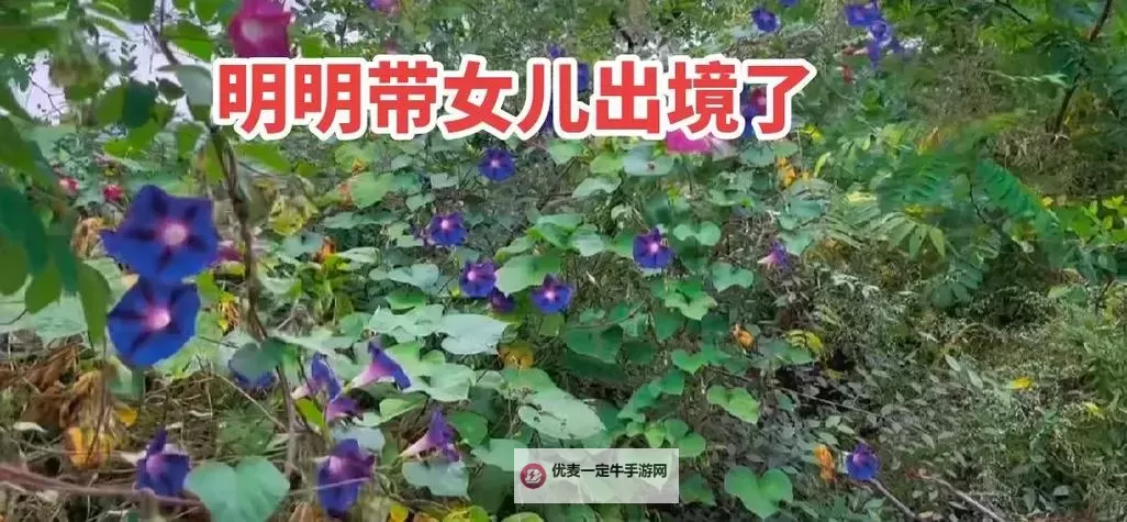 【最新发布】2015小明明看看在线永久免费，全面攻略解析图1