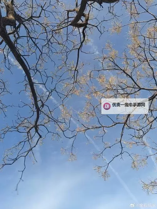 足球经理2015（FM2015） 开档妖人守门员推荐 免签门将谁比较好图1