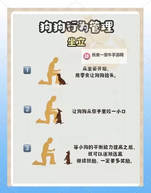 怎样让狗狗进入新环境更加顺利的方法图1
