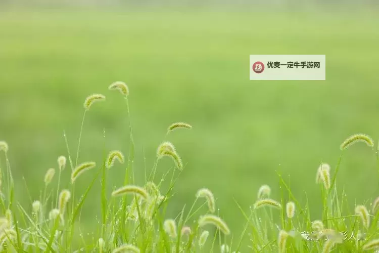探索农夫色站：乡村生活的真实与魅力图1