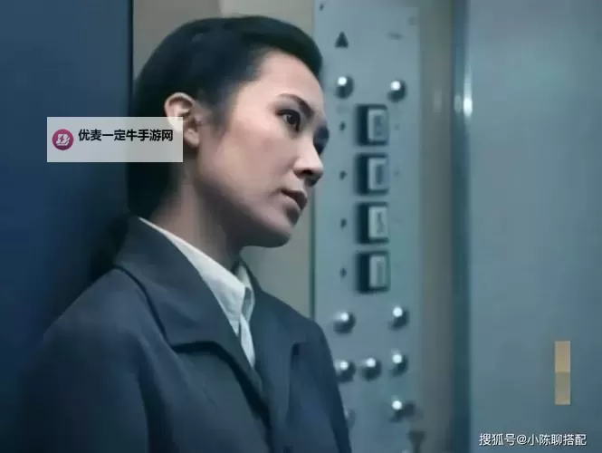 国产肥老妇影视老女人：刻画岁月沉淀的真实人生图1