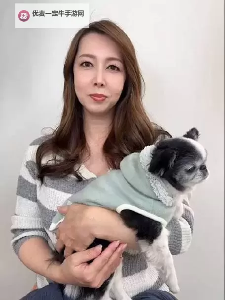 风间由美影视作品中文名称一览：精彩作品推荐图1