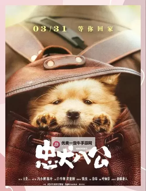 电影推荐：欣赏《忠犬八公的故事》百度影音完整版图1
