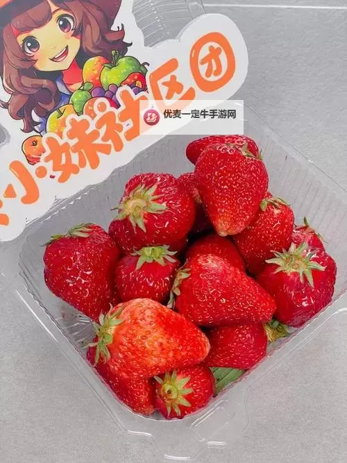 惊喜不断：草莓深夜福利大放送，甜蜜开启夜晚奇遇图1