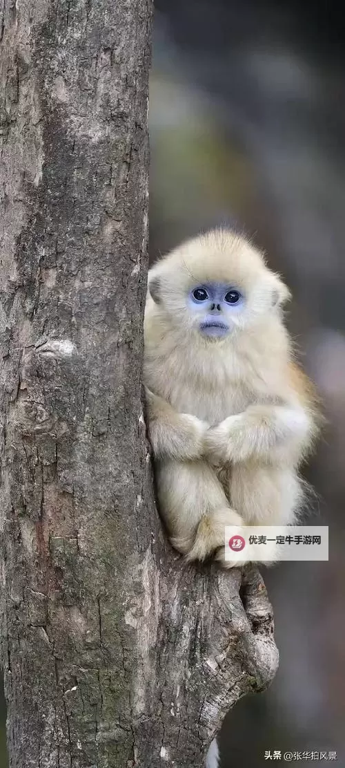 全面汇总：幼儿12到14视频3000片精选合集图1