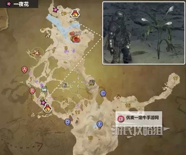 《怪物猎人荒野》一夜花的月华粉速刷攻略 一夜花的月华粉怎么获得图2