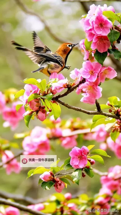 《世界启元》大卡池累抽机制介绍图2
