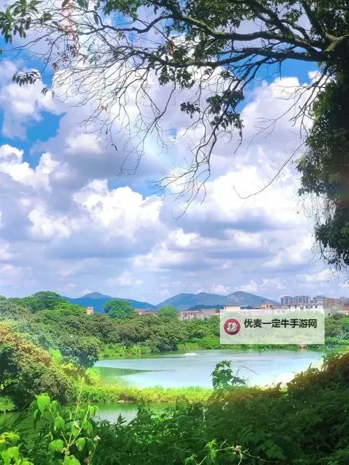 经典PC扑克牌游戏合集 有哪些经典的PC扑克牌游戏图2